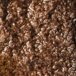 Pasta de Azeitona Preta 1
